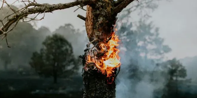 LOCO EXPRESS kassiert enttäuschende Niederlage in Lüdenscheid!